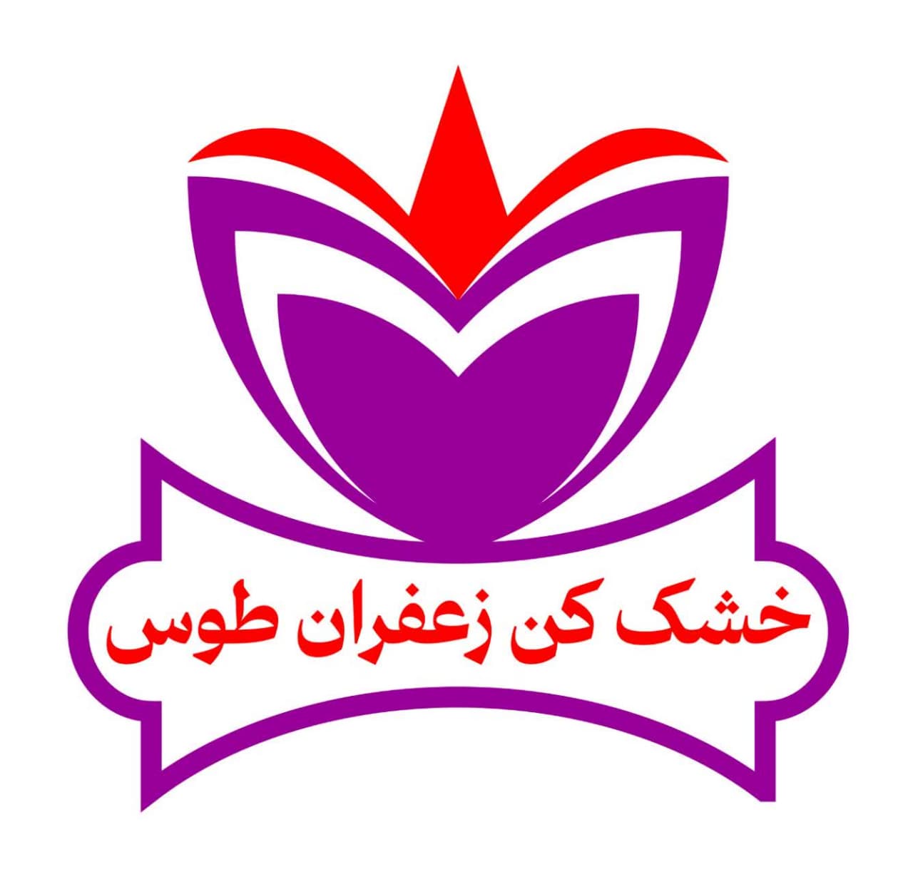 لوگو طوس